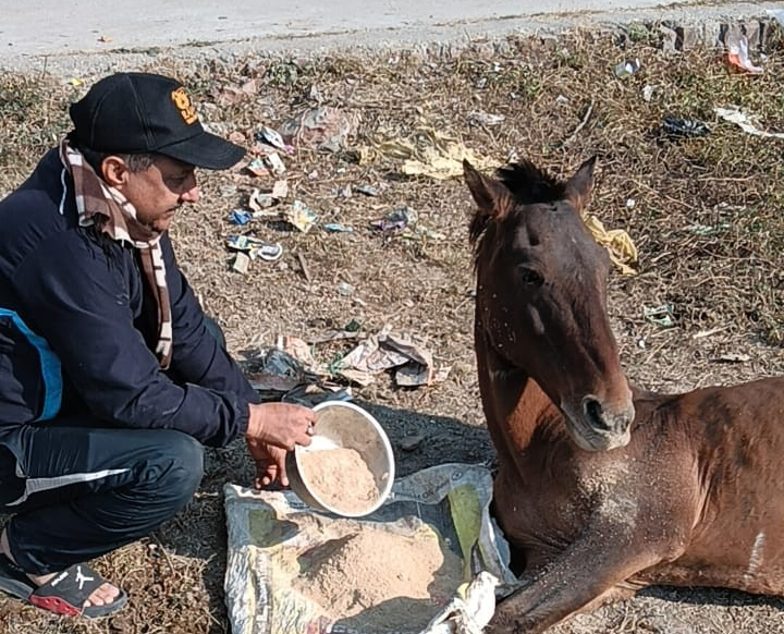 Senior Journalist Harish Kothari: A Life Dedicated to Animal Care